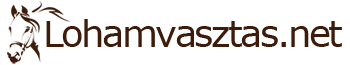 lohamvasztas.net Logo